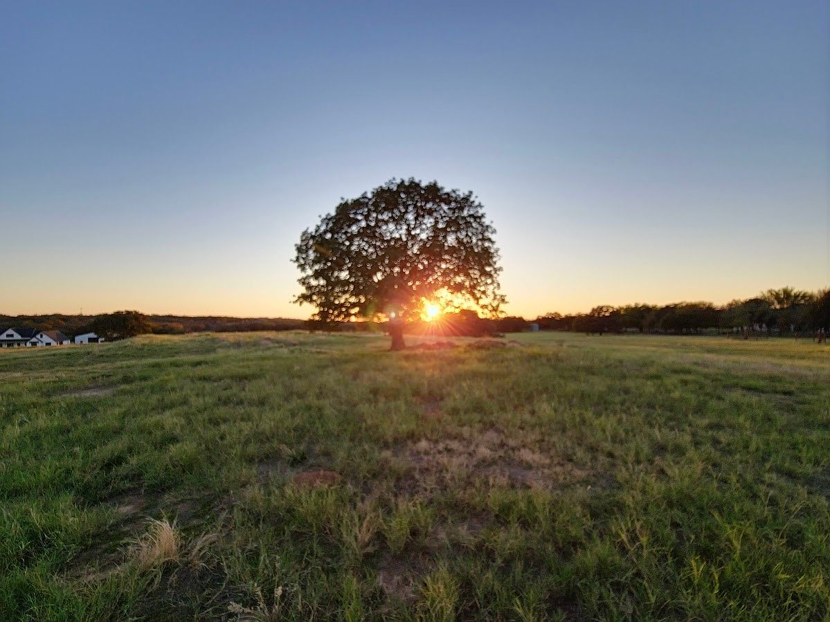 4001 Margarets Mdw acreage — photo 4 of 27