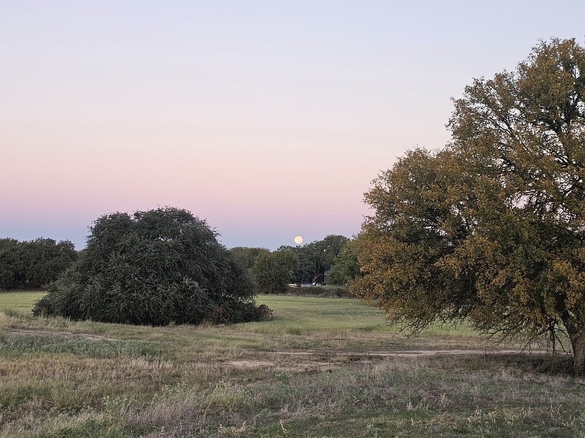 4001 Margarets Mdw acreage — photo 23 of 27